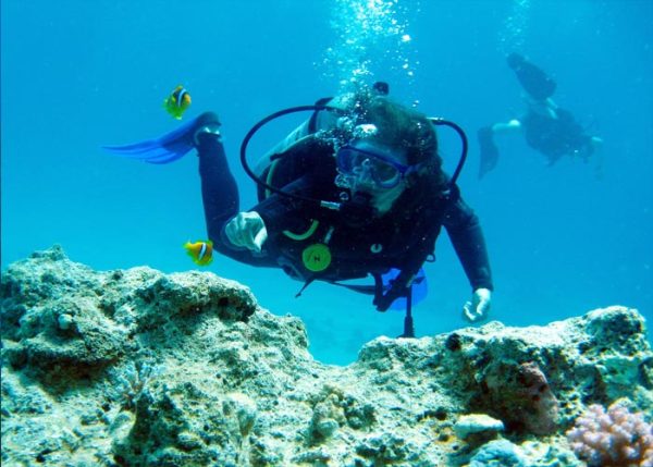 Sharm El Sheikh Excursions| Activity in Sharm El Sheikh