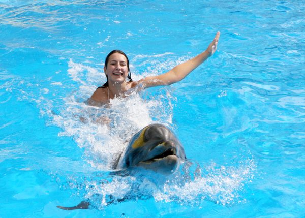 swim with dolphins sharm el sheikh