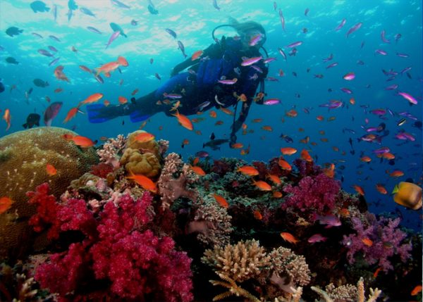 Sharm El Sheikh Excursions| Activity in Sharm El Sheikh