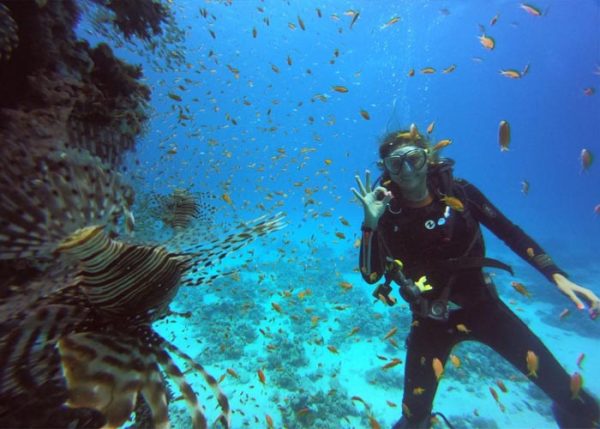 Sharm El Sheikh Excursions| Activity in Sharm El Sheikh