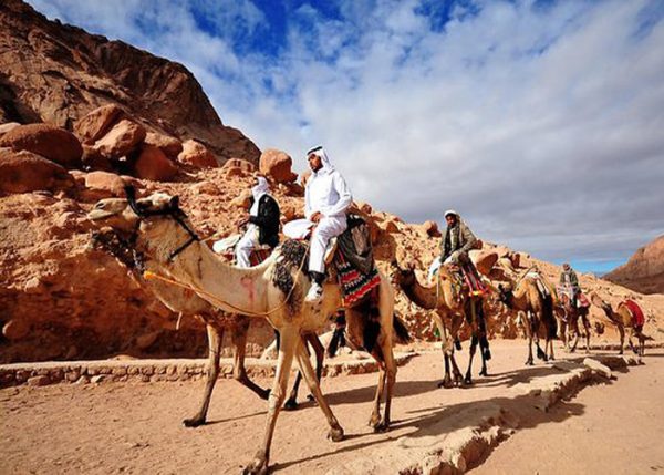 Camel ride Dahab