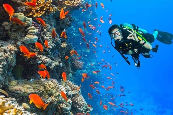 Sharm El Sheikh Excursions