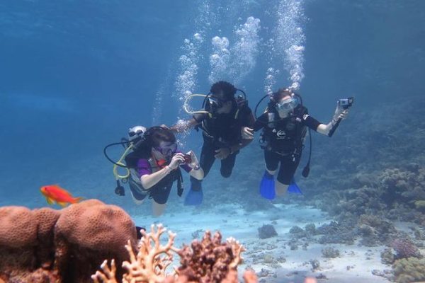 Sharm El Sheikh Excursions