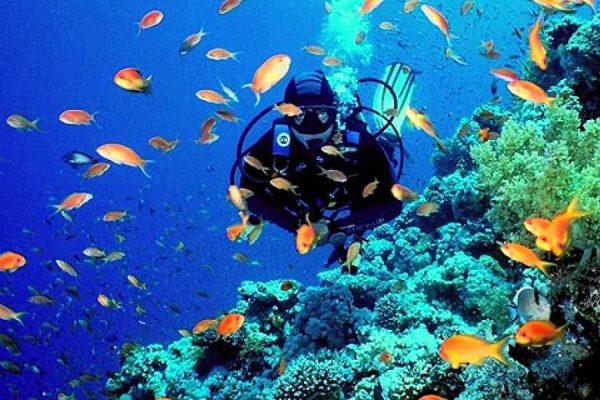 Sharm El Sheikh Excursions