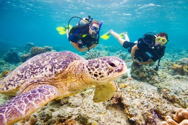 Sharm El Sheikh Excursions