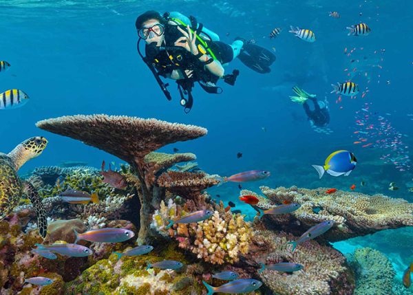 Sharm El Sheikh Excursions