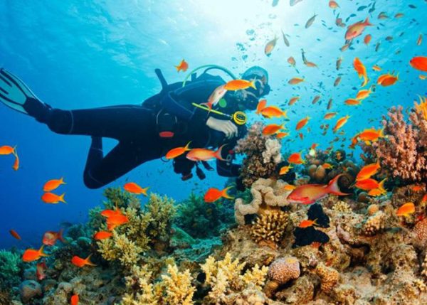 Sharm El Sheikh Excursions