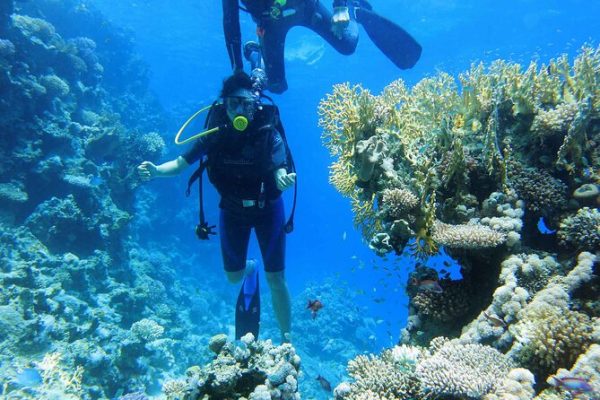 Sharm El Sheikh Excursions