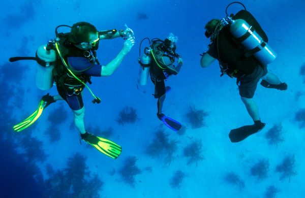 Sharm El Sheikh Excursions