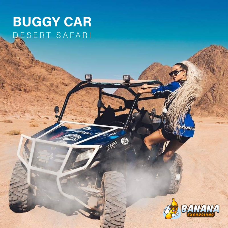 Buggy Car | Desert Safari